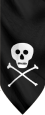 Pirates Faction Logo (white)